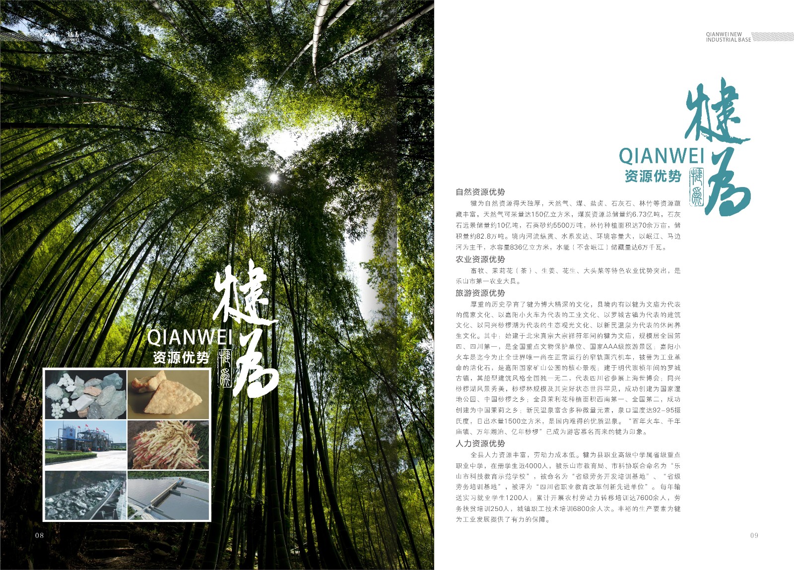 樂山高新區(qū)犍為縣招商手冊設計_樂山市畫冊設計公司_高新區(qū)招商手冊設計公司_工業(yè)基地招商宣傳冊設計