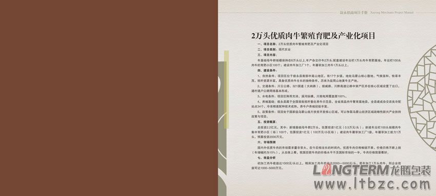 敘永縣投資促進局招商項目手冊設(shè)計