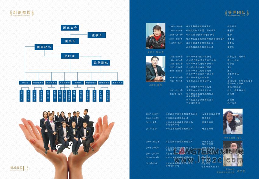 成都都成海盈投資公司畫(huà)冊(cè)設(shè)計(jì)