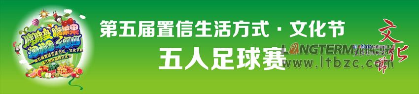 成都置信文化節(jié)宣傳物料設計