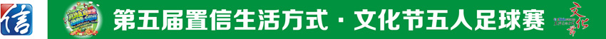 成都置信文化節(jié)宣傳物料設計